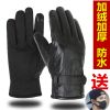 Gants pour homme en coton - Ref 2781338