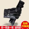 Gants pour homme - Ref 2781738