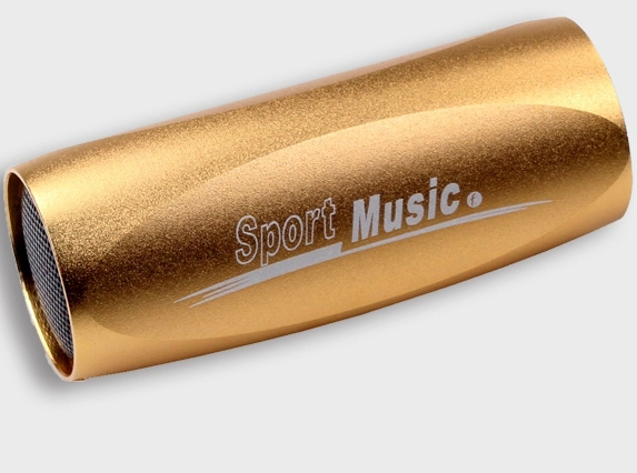 Haut-parleurs portables ROCKYOU - Ref 2268122