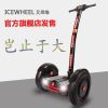 Hoverboard ICEWHEEL - Ref 2447770