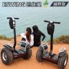Hoverboard ESWING - Ref 2447799