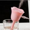 Humidificateur USB - Ref 409315