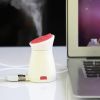 Humidificateur USB - Ref 412111