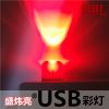 Lampe USB - Ref 377182