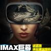 Lunettes 3D REEDOON - Ref 1239915