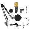 Microphone d'enregistrement pour podcast Youtube - Ref 3423409