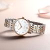 Montre bracelet pour Femme ROSSINI - Ref 3270871