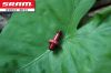Outils pour vélo SRAM - Ref 2278862