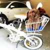 Panier pour vélo - Ref 2255673