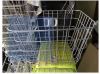 Panier pour vélo - Ref 2255753