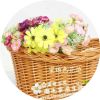 Panier pour vélo FOREVER en vigne - Ref 2265211