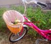 Panier pour vélo SUNNY WILLOW en vigne - Ref 2268379