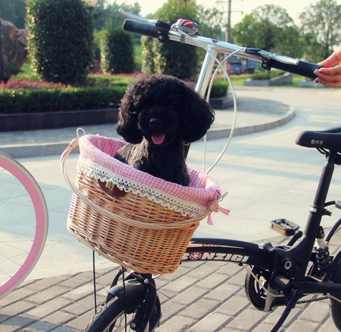 Panier pour vélo FOREVER en vigne - Ref 2268855