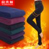  Pantalon collant - Ref 748394