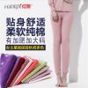  Pantalon collant Moyen-âge en coton - Ref 750779