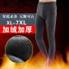  Pantalon collant - Ref 751067