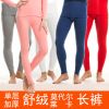 Pantalon collant THREEGUN simple en coton - Ref 753063