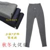  Pantalon collant Moyen-âge en polyester,  - Ref 757936
