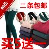 Pantalon collant - Ref 758402