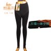 Pantalon collant sexy en nylon - Ref 776780