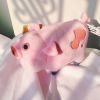 Peluche manga ville etrange - Ref 2695111