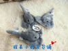 Peluche manga - Ref 2695709