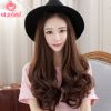 Perruque cheveux longs - Ref 2607173