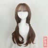 Perruque cheveux longs - Ref 2607183
