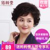 Perruque cheveux courts - Ref 2607189