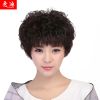 Perruque cheveux courts - Ref 2607190