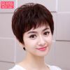 Perruque cheveux courts - Ref 2607209
