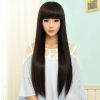 Perruque Long cheveux raides - Ref 2607636