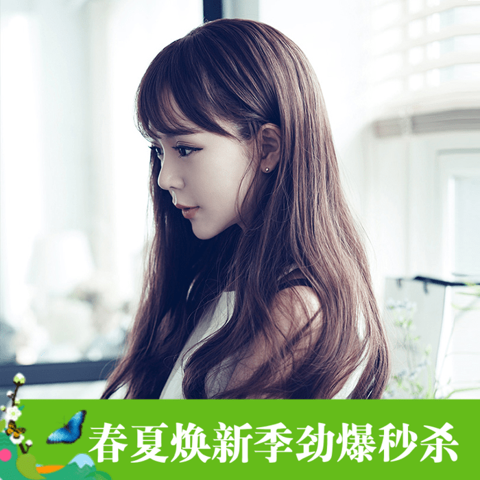 Perruque cheveux longs - Ref 2607852