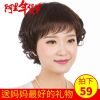 Perruque cheveux courts - Ref 2607865