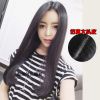 Perruque Long cheveux raides - Ref 2608256