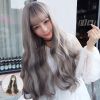 Perruque cheveux longs - Ref 2608406