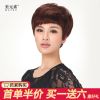 Perruque MAYSU cheveux raides Court - Ref 2608439