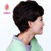 Perruque cheveux courts - Ref 2608686