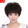 Perruque cheveux courts - Ref 2608722