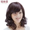 Perruque cheveux longs - Ref 2608916