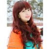 Perruque ANNABELLE cheveux longs - Ref 2609483