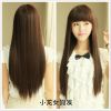 Perruque ASH Long cheveux raides - Ref 2609605
