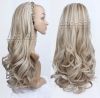 Perruque cheveux longs - Ref 2609804