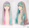 Perruque cheveux longs - Ref 2609872