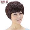 Perruque cheveux courts - Ref 2610247