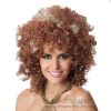 Perruque cheveux longs - Ref 2610483