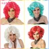 Perruque cheveux longs - Ref 2610778