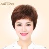 Perruque I S A WIG cheveux raides Court - Ref 2611520