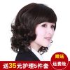 Perruque cheveux courts - Ref 2611522