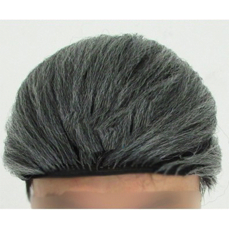 Perruque - Ref 2611585